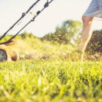 How to Buy the Best Lawn Mower